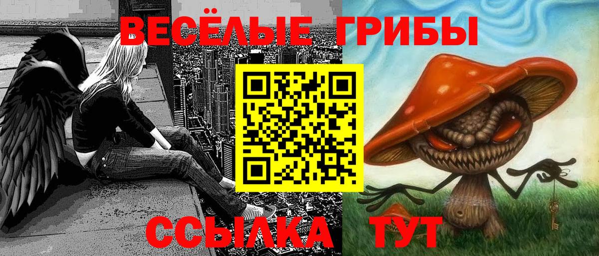 Галлюциногенные грибы MAGIC MUSHROOMS Кудрово