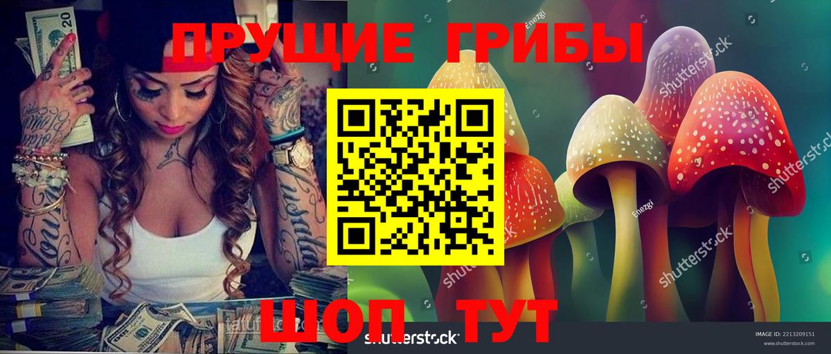 Галлюциногенные грибы Psilocybine cubensis  Вход с VPN  Кудрово 