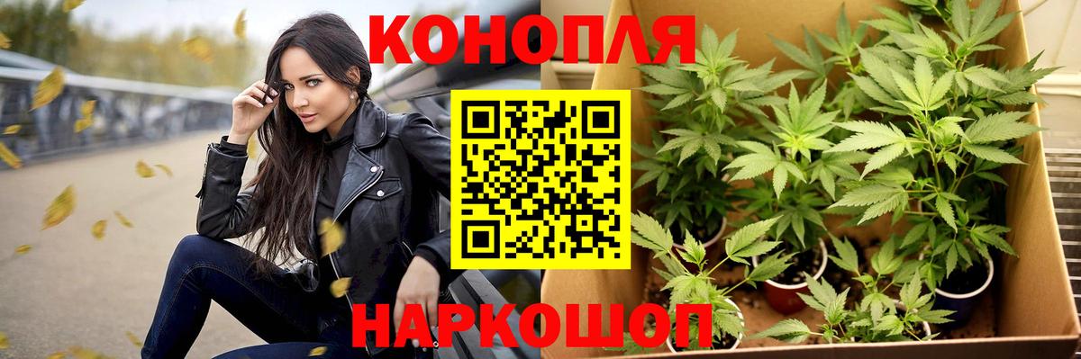 Марихуана гибрид Кудрово